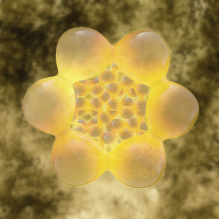 FDA Approves Antria Stem Cell Trials