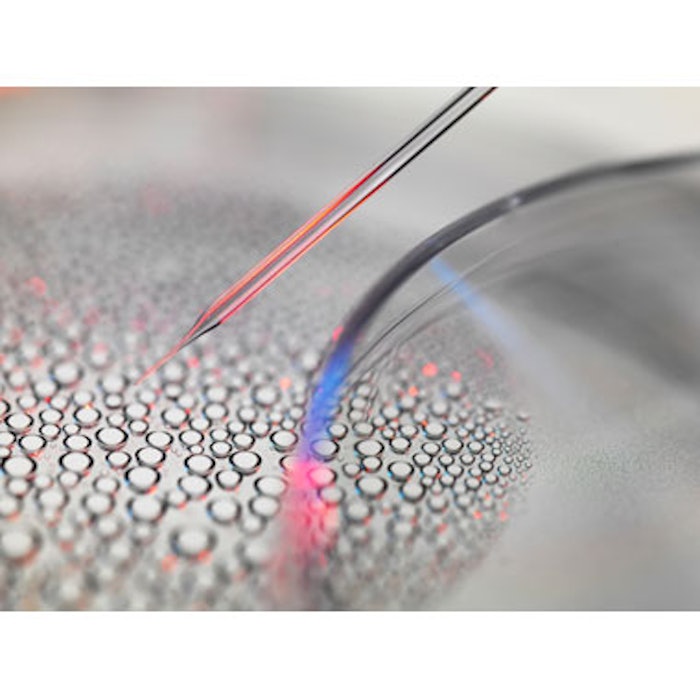 Phase 2 Trial Launched for Stem Cell-Based Hair Restoration