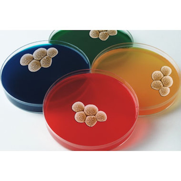 Antibiotic Resistance in Acne Treatment