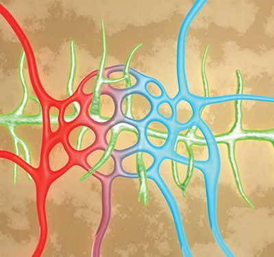 Si1712 Inflammaging Dreamstime Xxl 55400876 400