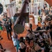 Image Skincare introduced its Ormedic collection at events in Beverly Hills and Chicago at the Image Skincare Greenhouses.