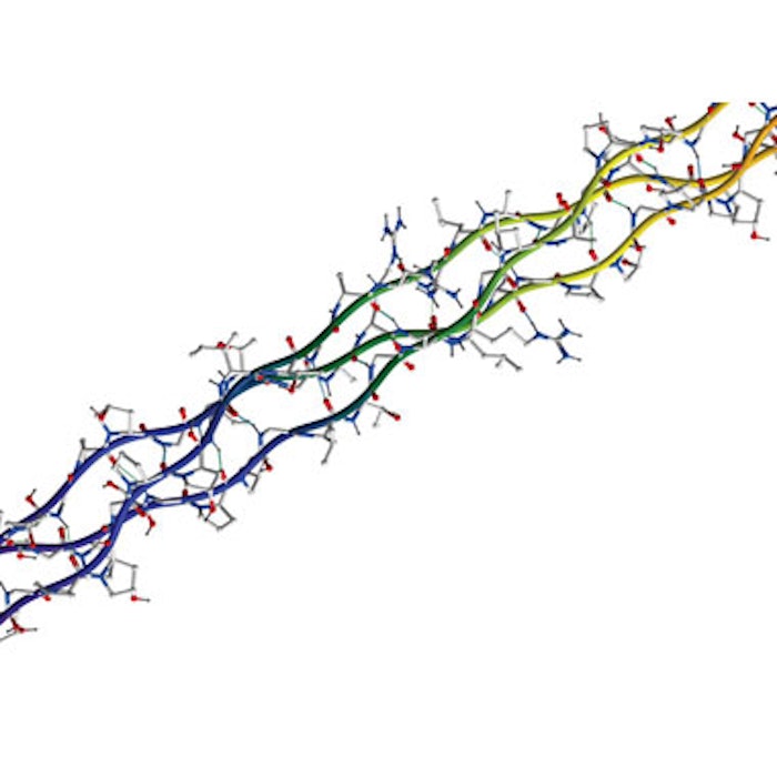 Collagen Fibers Illustration