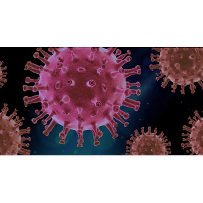 Virus 4web