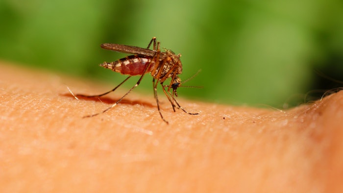DARPA is funding the development of a skin microbiome-based mosquite repellent