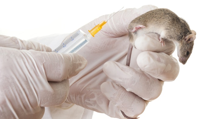 Researchers used rodent data to develop a mathematical model that predicts in vivo filler degradation.