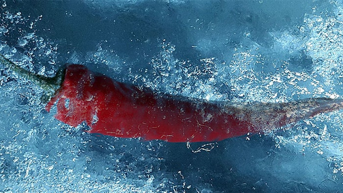 AntalGenics Reduces Scalp Irritation with Neurcosmetic Capsisilence.jfif