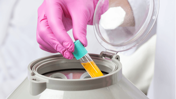 The addition of stromal vascular fraction did not enhance skin quality outcomes.