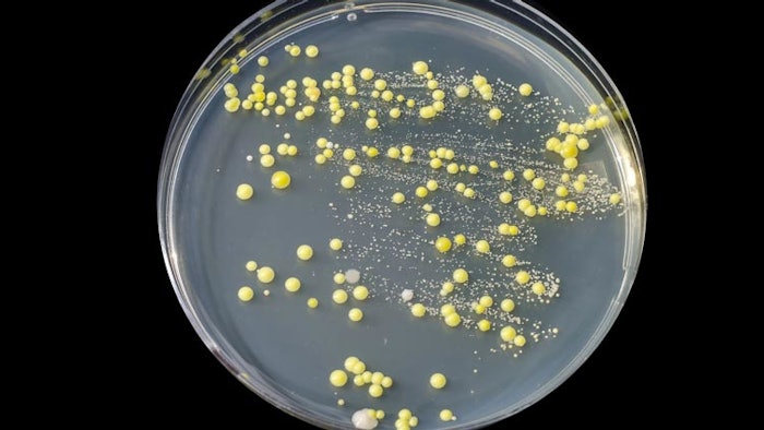 Enzyme Treatment Effective In Identifying Bacteria Living On The Skin