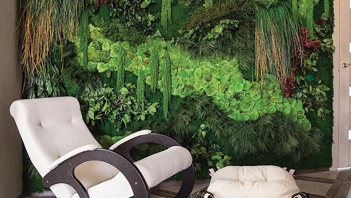 Biophilia Wall Design