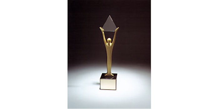 Stevie Award