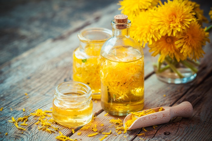 A recent study published by Sustainable Chemistry and Pharmacy details the use of dandelion seeds as a natural source of active constituents.