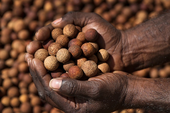 Dutjahn Sandalwood Oils CEO Guy Vincent says working to the rigorous UEBT standard which includes 100 environmental, social and economic indicators, each assessed on-site by an independent auditor, has helped the company to test and develop its holistic approach.