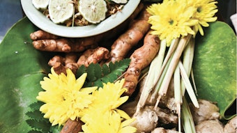 Your diet affects every aspect of your life, from energy levels and hair growth to cardiovascular disease and your libido.