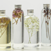 different organic beauty products in transparent bottles with herbs and flowers isolated on grey