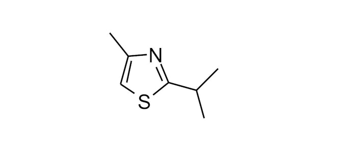 Oamic