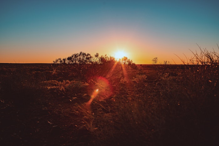 “This is a tremendous milestone in the company's ongoing sustainability journey,” said Guy Vincent, CEO of Dutjahn Sandalwood Oils.