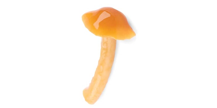 mushroom skincare
