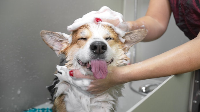 The pet care prototype kit features individual ingredients and sample formulations designed to elevate the well-being of pets across various species and breeds.