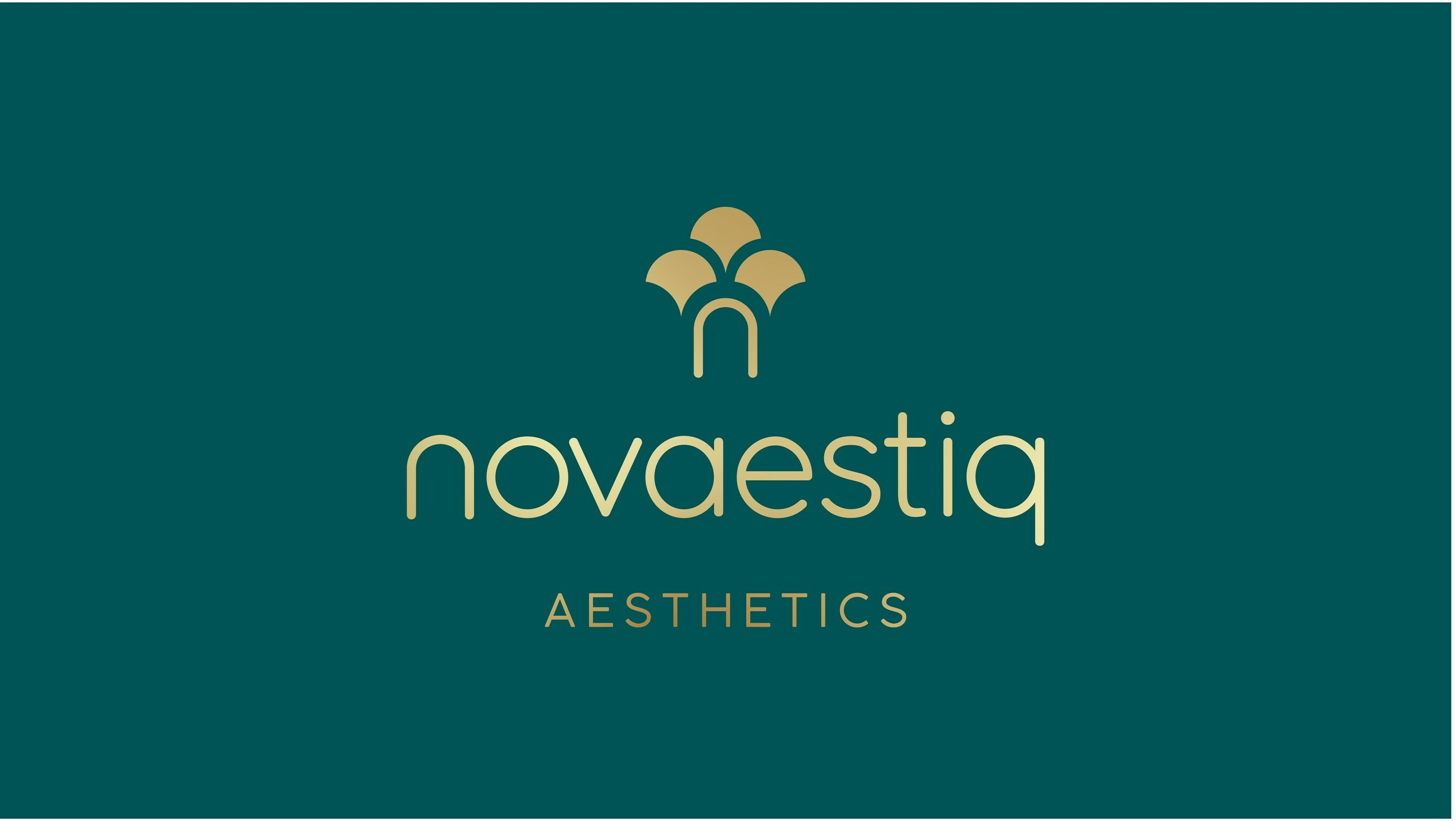 Novaestiq Logo