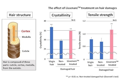 Viita Ct Web Exclusive Lissenare Figure