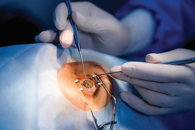 Adobe Stock 340939990 Vadim