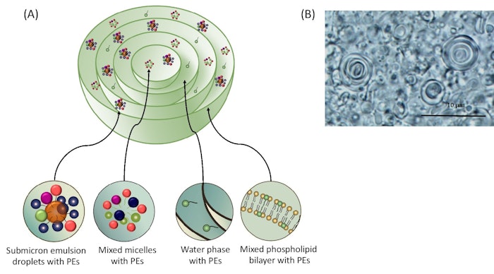 Fig 1 New Layout Revised 1 1 Copy[6]