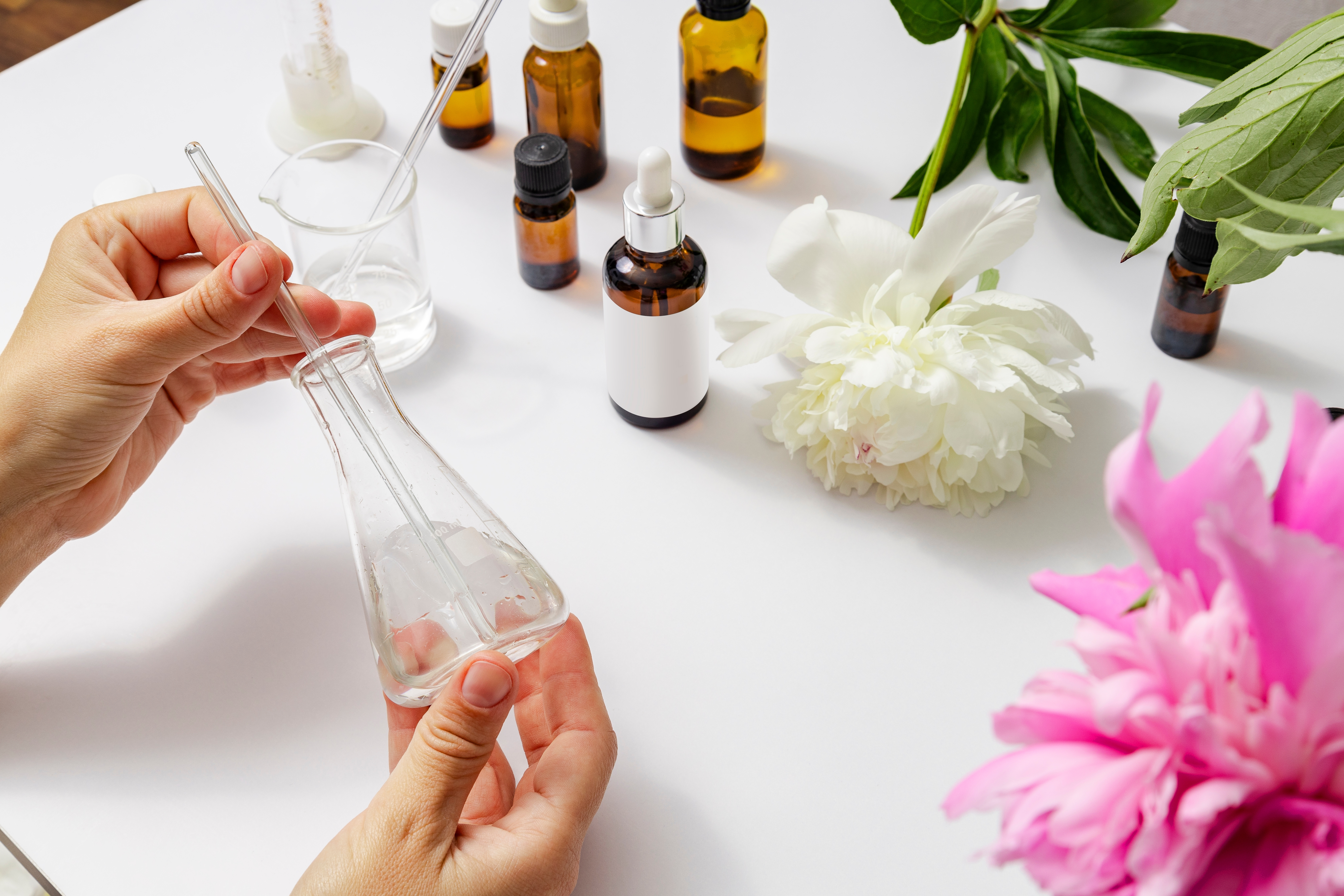 Shutterstock 2461407249