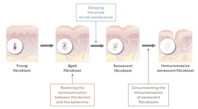 Ct2505 Silab Hallmarks Figure 1