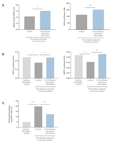 Ct2505 Silab Hallmarks Figure 3
