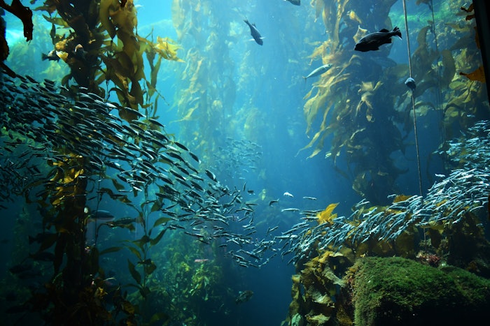 Microplastics are sometimes used in mineral-based sunscreens to get high-density particles to disperse evenly.