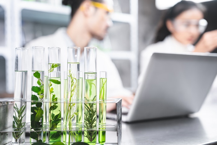 Chemists In Lab Studying Plant Samples In Test Tubes Adobe Stock 535785298