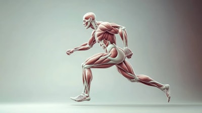 While GLP-1 drugs offer metabolic and longevity benefits, they can unintentionally reduce muscle mass—even in lean individuals—making clinical monitoring and muscle-preserving strategies essential.