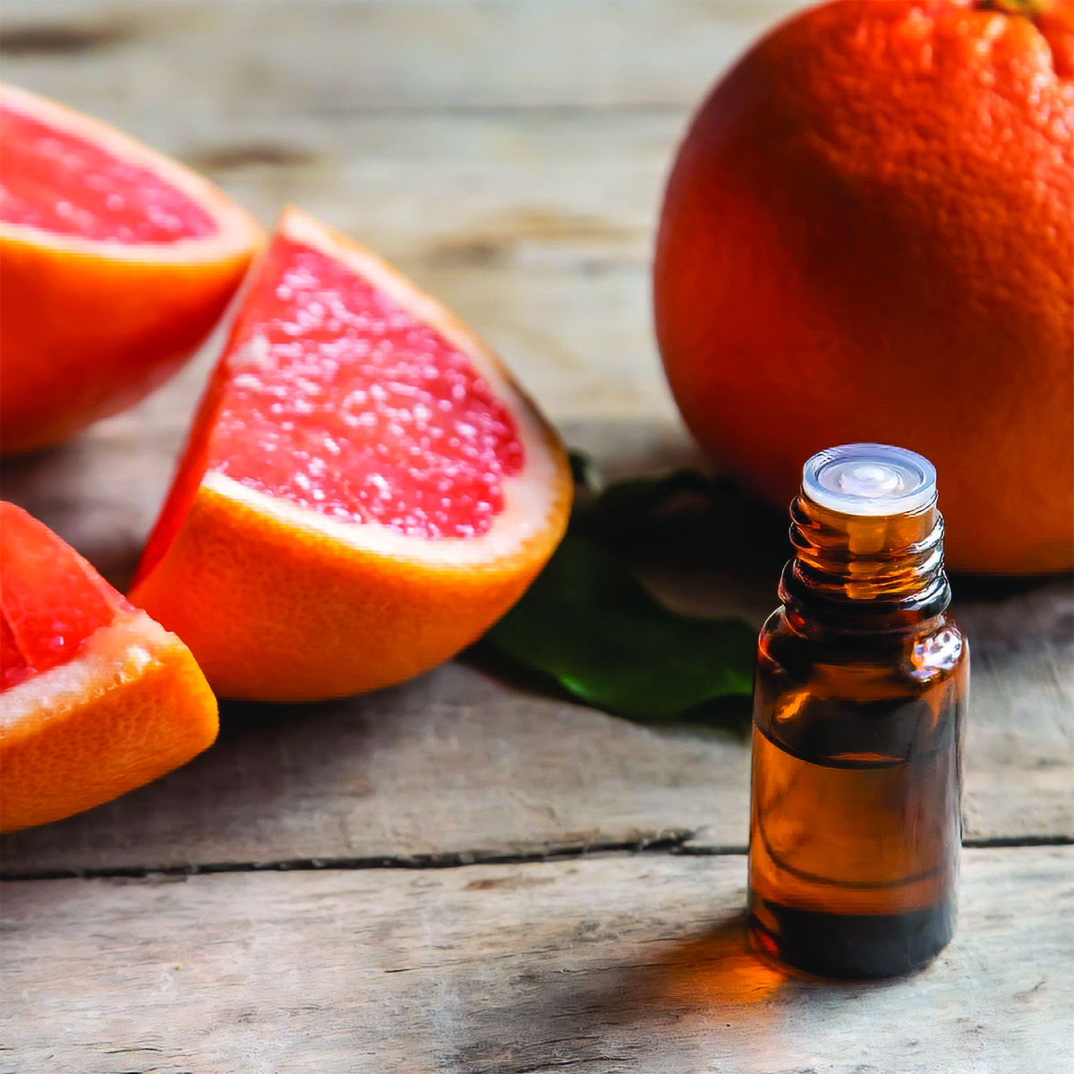 Lallemand Dec Roundup