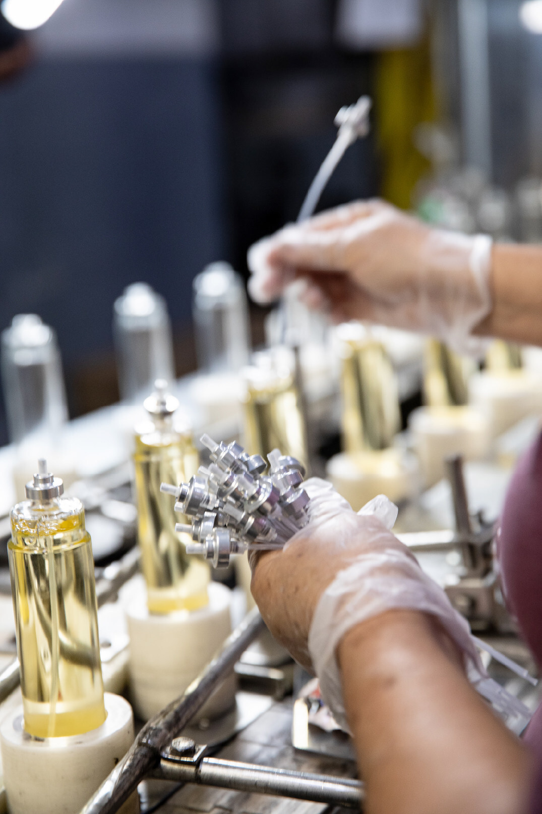 Cohere Beauty will debut The Fragrance Collective at Cosmoprof Miami 2026.