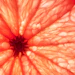 Biotechnology offers built-in stereocontrol and 'natural-identical' labeling, decoupling supply from volatile botanical harvests and climate-vulnerable regions.