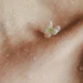 Seppic Skin Microbiome