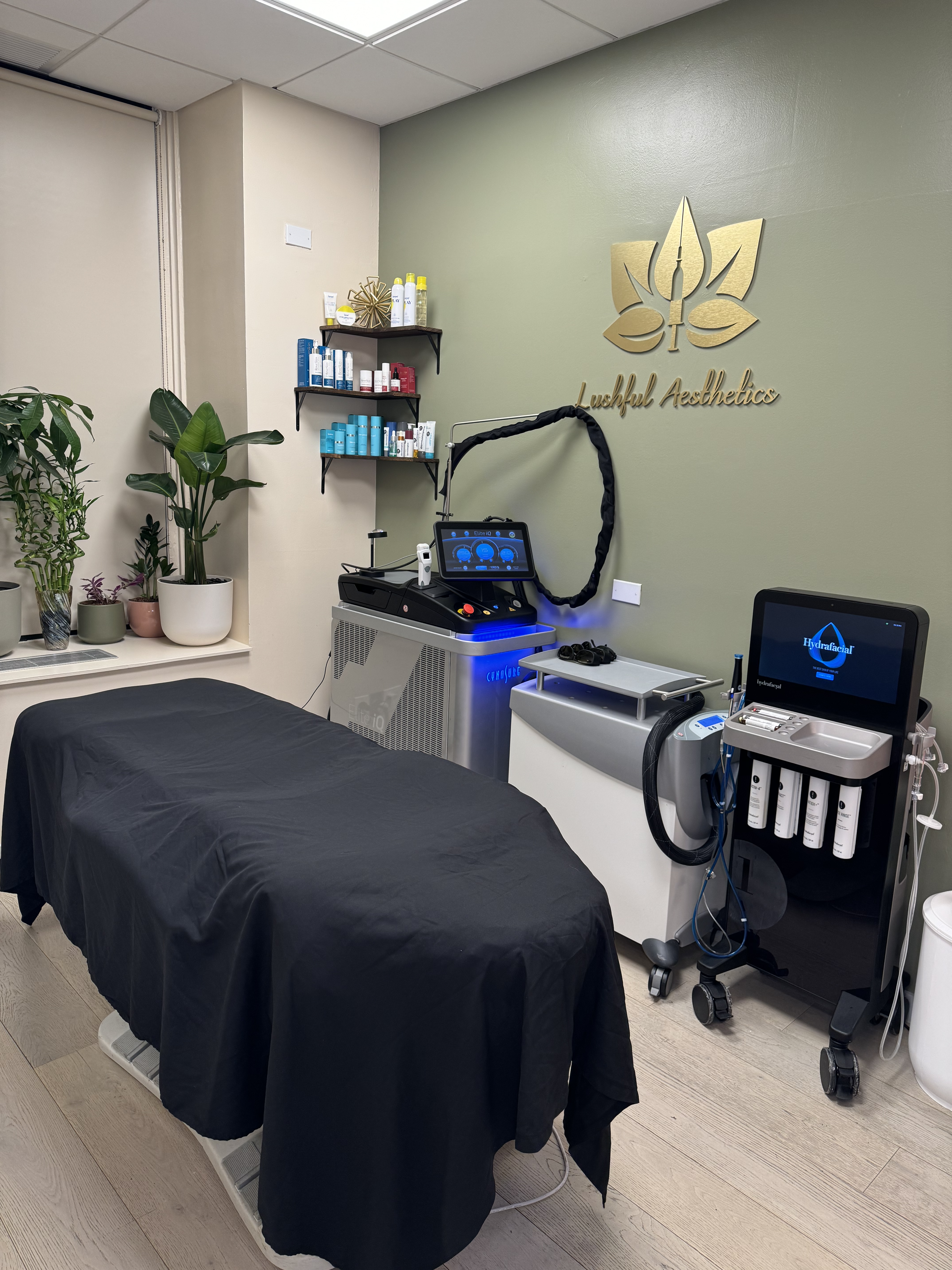 Copy Of Lushful Treatment Room 4