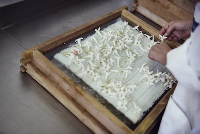 More than ever, our ambition is to elevate fragrance by combining nature, creativity and innovation while staying true to what makes us unique.