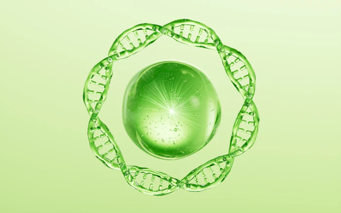 Kalichem offers Kaligen, a vegan, bio- and plant-based PDRN-inspired nucleobiotic complex designed to drive skin renewal, replumping and long-term skin longevity through biomimetic activation of native collagen pathways.