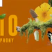 Sens 0078 Cover1 Orange Butterfly 800x450 (lead Image)