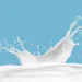 Unlike traditional dairy replacers focused primarily on sweetness or creaminess, HaseMilk is engineered to mimic both the external and internal flavor characteristics naturally present in milk fat.