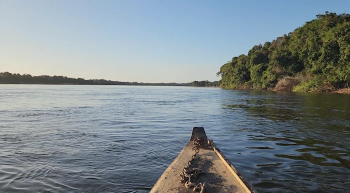 View from boat bow on calm river with dense tropical forest lining the right bank under clear sky