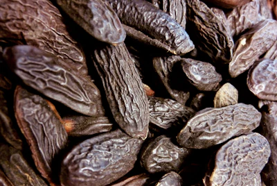 LMR Naturals by IFF's tonka bean CO₂ absolute is a sustainably produced natural ingredient extracted using renewable and recycled supercritical CO₂ at the company's Aubrac, France facility.