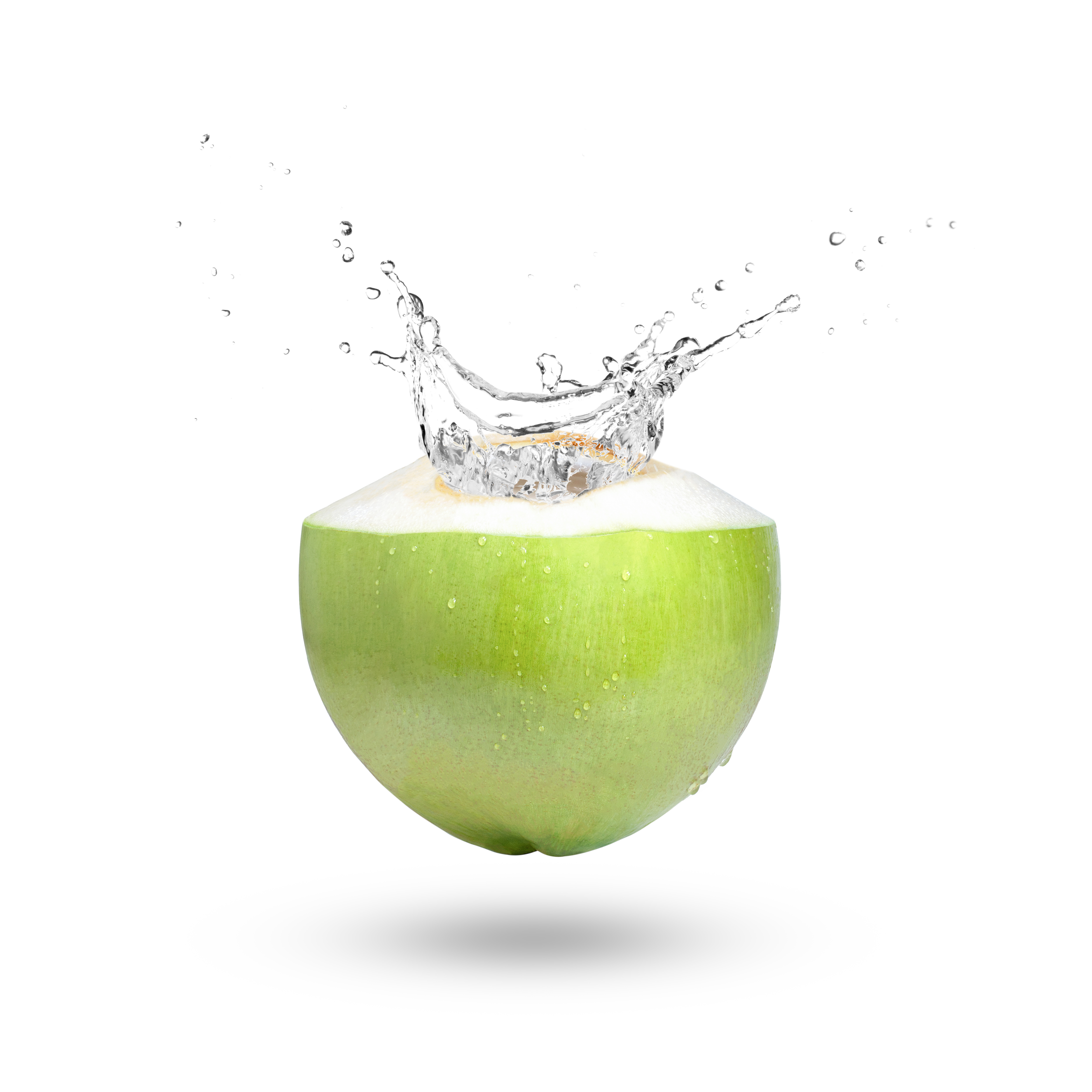 Fresh green coconut with water splash erupting from the top against white background