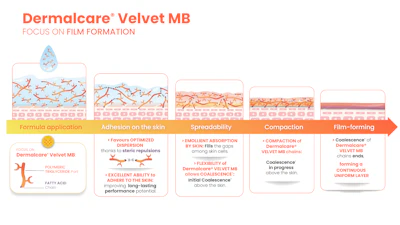 Dermalcare Velvet MB skincare product infographic showing film formation process from application through adhesion, spreadability, composition to final film layer